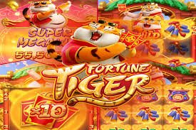 Privacy and responsible gaming guidance within the 77bd VIP rewards section